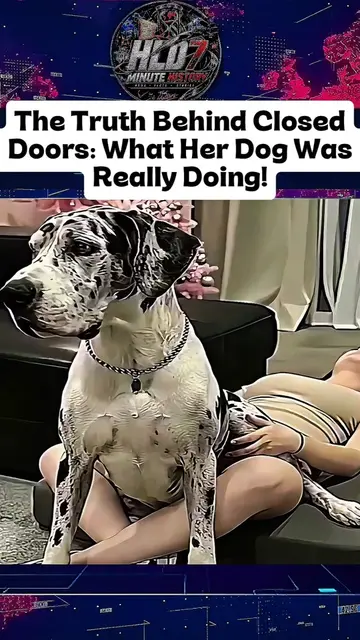 #usa🇺🇸 #news #dog #breakingnews #london 