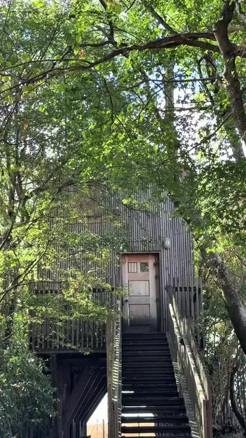 ad I booked myself a treehouse for a few days to disconnect from my phone and ge