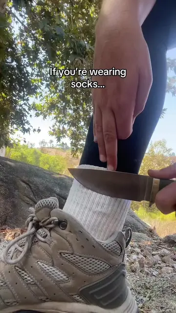 Lint from your dryer, pockets of your clothes or even your socks can be extremel