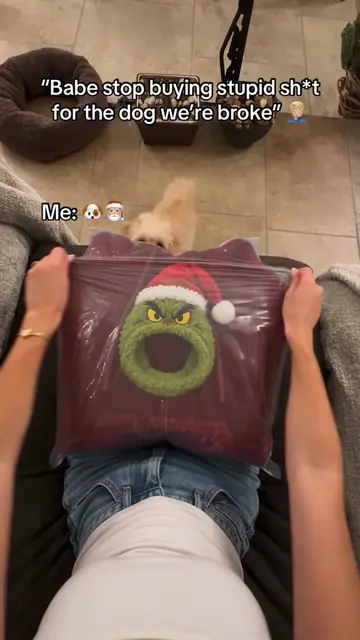 Comment “Merry” if you need one 🎄🐾 #christmas #grinch #dogs #hoodie #gift 