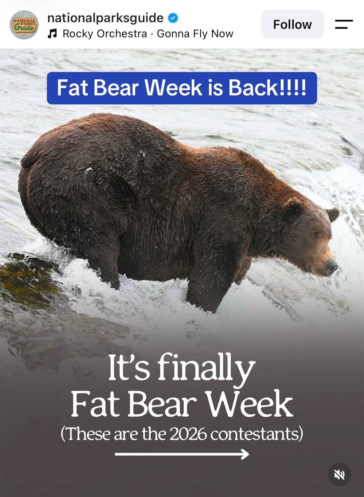 And voting starts today. 🗳️ Check out @explore.org for the latest battles. #fat
