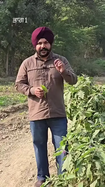 ਕੱਲੀ ਕੱਲੀ ਨਾੜ ਸਾਫ਼ ਹੋਵੇਗੀ. #healthcare 