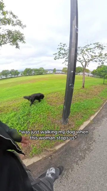 Strong recall becomes more and more neccesary every day 😭 #dog #dogs #dogvideo 