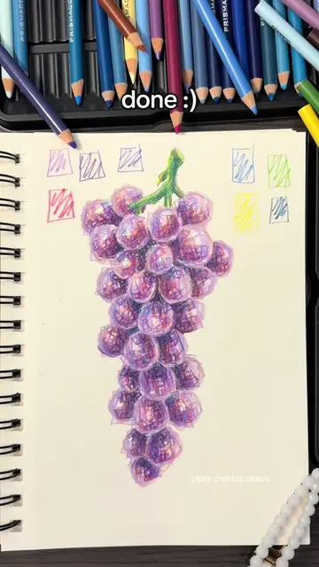 Drawing grapes using only boxes with colored pencils 🍇 #grapes #coloredpencil #