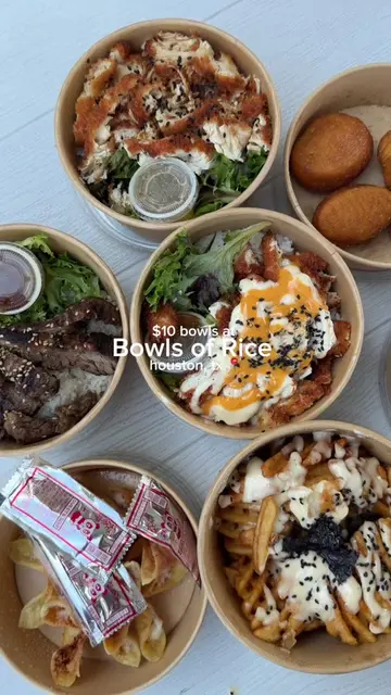 Back with another yummy recommendation 🤭🤭🥢🍚🥟 @Bowls of Rice  📍 Houston, We