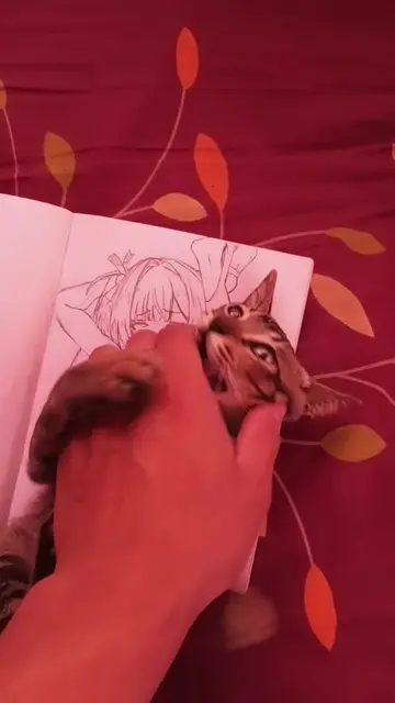it just I finally get a cat but he won't move #cat #zzzero #anime #drawing #fyp 