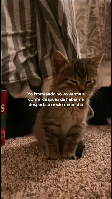Intentar no dormirse después de haberse despertado recientemente está un poco di