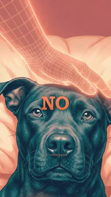 ❯ Can you kiss your dog? Their reaction reveals everything. #dogpsychology #dogs