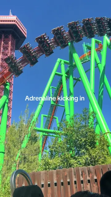 best feeling 🔥  #adrenaline #sixflagsmagicmountain #rollercoastertiktok #tatsu 