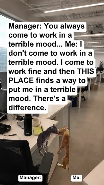 I arrived in a good mood. This is company-issued. #workmemes #worklife #corporat