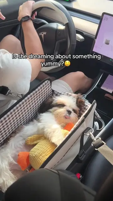 That little tongue sticking out while she cuddles her ducky is just too cute!❤️�