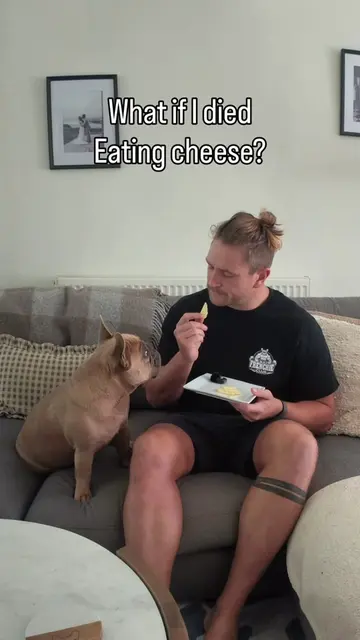 What if I died eating cheese? 🧀  #frenchie #frenchbulldog #frenchbulldoguk #dog