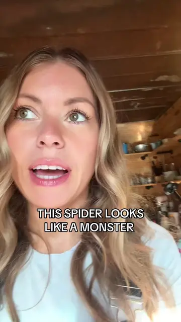 Country life at its finest…  #spider 