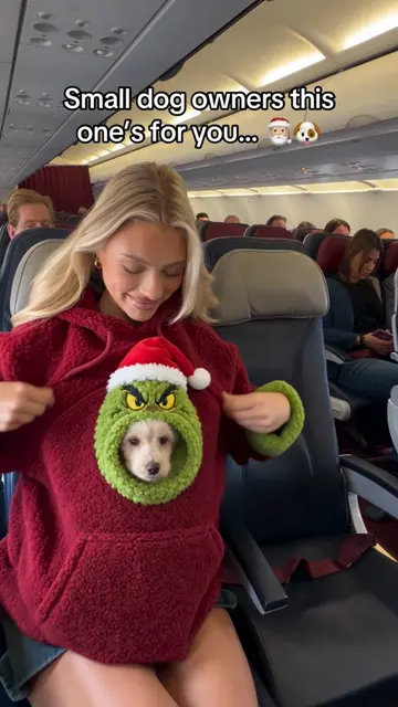 Comment “Merry” if you need one 🎅🏼🐶 #christmas #pets #dogs #hoodie #gift 
