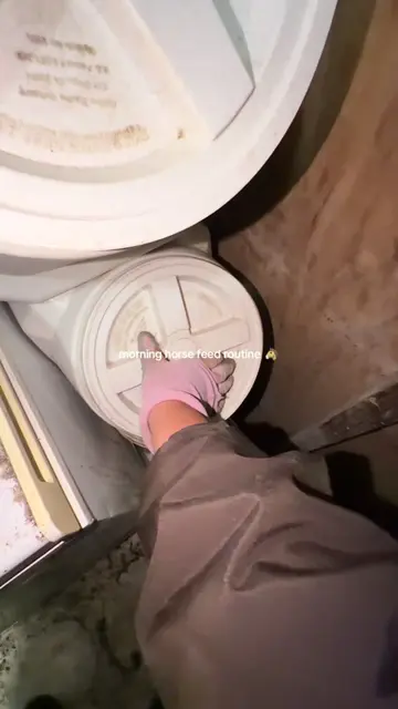 Some feedin some ponies  #horsefeed #horsecare #horsenutrition #creatorsearchins