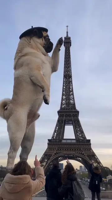 POV: you’re in Paris and Lucas decided the Eiffel Tower was his new landmark 😂�
