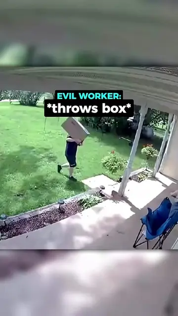 Evil Delivery Driver Aims Box For Dog...