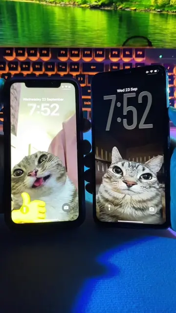 You can download this identical wallpaper and set it as your phone wallpaper. Co