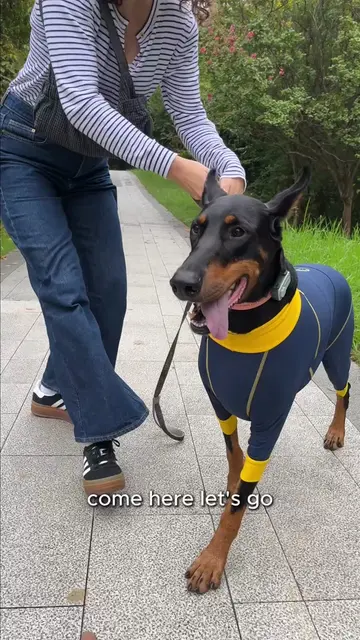You can’t watch your dog every second, but you can give them an extra layer of p