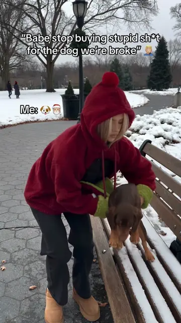 Comment “Merry” if you need one 🐶🎅🏼 #christmas #pets #dogs #hoodie #gift 
