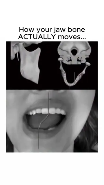 Your jaw doesn't just open and close like a hinge, it actually moves in a much m