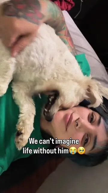 From a neglected stray to being loved everyday!😭🥹🥰 #dog #dogs #puppy #dogresc