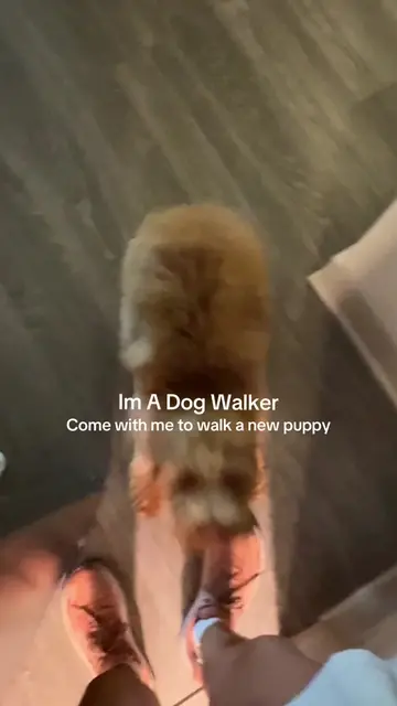 Greta and I’s second walk!!! She has gotten so much bigger since the first visit
