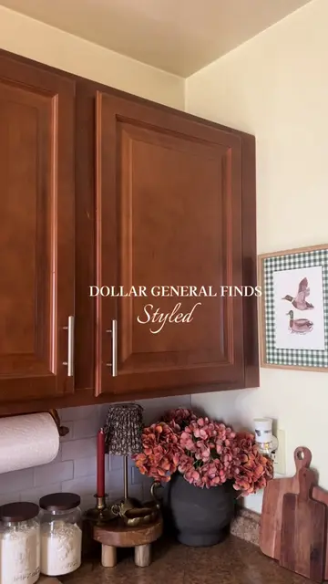 @Dollar General the cutest cottage fall decor 🍂🦆🧺🐓 #dollargeneral #dollargen