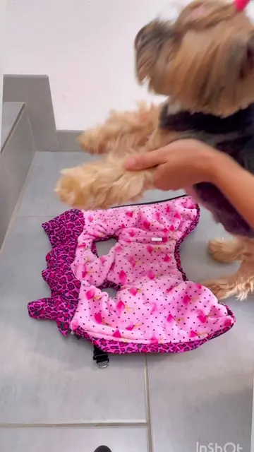 🇩🇪Kleine Hündin. Große Liebe. Große Kälte? Eine Winterjacke, die extra für kle