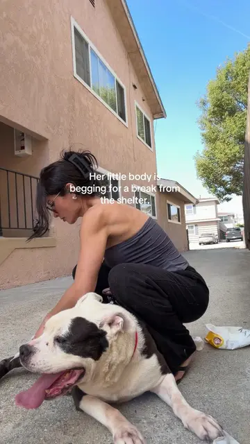 I know Dahlia isn’t going to be an easy sell, this is the second video I post of