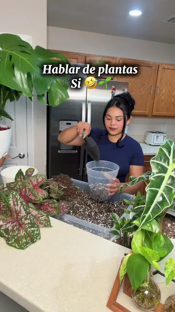 Si usted me llama porque está aburrida… es porque no tiene plantas 😂🌿 #Plantas