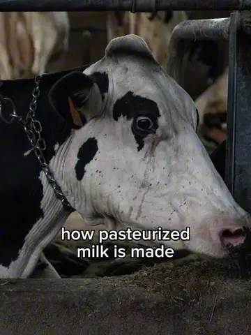 animal cruelty is disgusting
