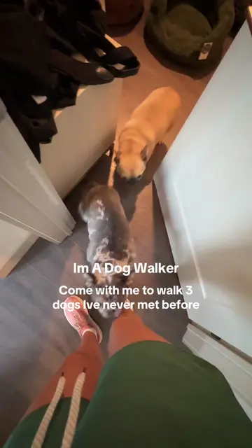 Meet Zeus, Peanut & Butters!!! Literally Butters was unreal making me carry her 