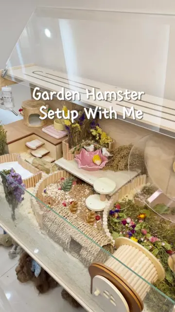Let’s build a garden theme hamster setup with me!!!🤩🐹❤️ #hamster #hamsters #fy