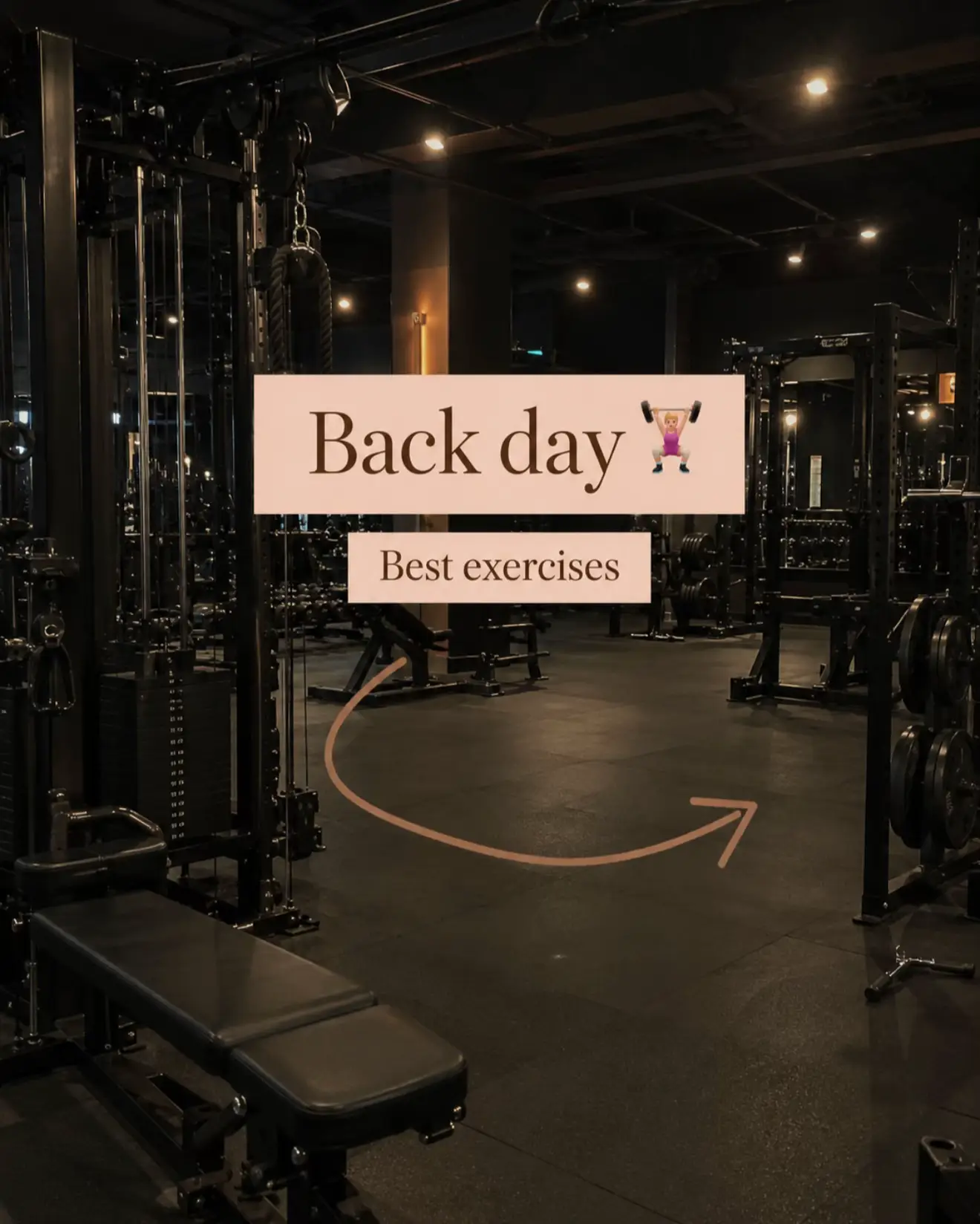 Back day can feel confusing because there are so many exercises, but you really 