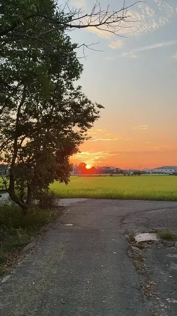 Nice