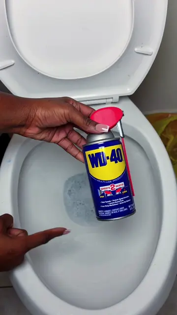 Spray WD-40 Toilet Cleaning Hack That Actually Works