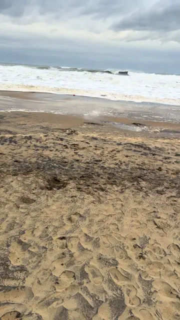 How much longer do we have in Virginia Beach until we no longer have a beach 😅 