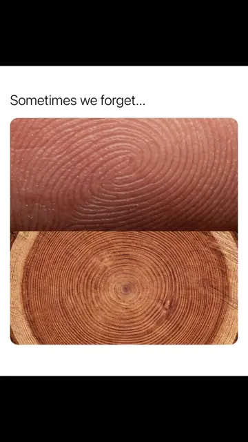 Nature and the human body mirror each other more than most people realize🧬 Look
