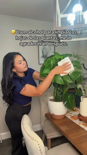 Solo se usó para el video jajaja 🤣🌱 No lo intenten en casa. #Plantas #PlantTok