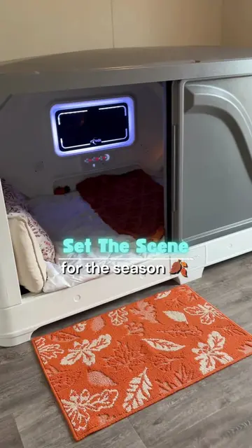 A cozy sleep pod! 🍂🎃 Adding seasonal touches or your favorite items is a great