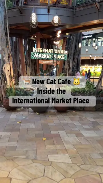If you got kids who want to play with cats, there’s MOFF Cat Cafe.  Not sure how