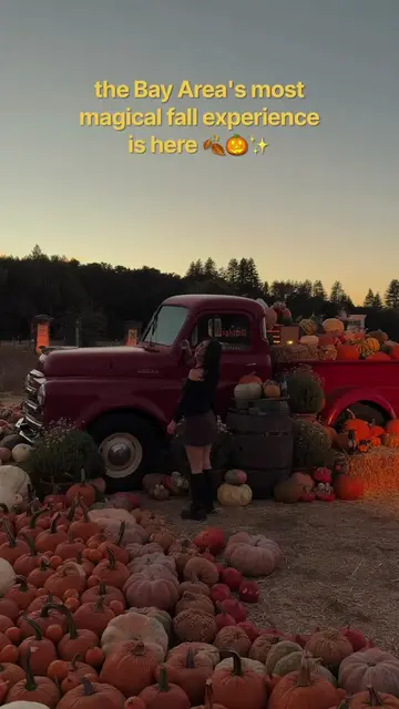 Nightfall at Filoli is back and TikTok Go has it for under $45. 🎃🌲✨ Bay Area's