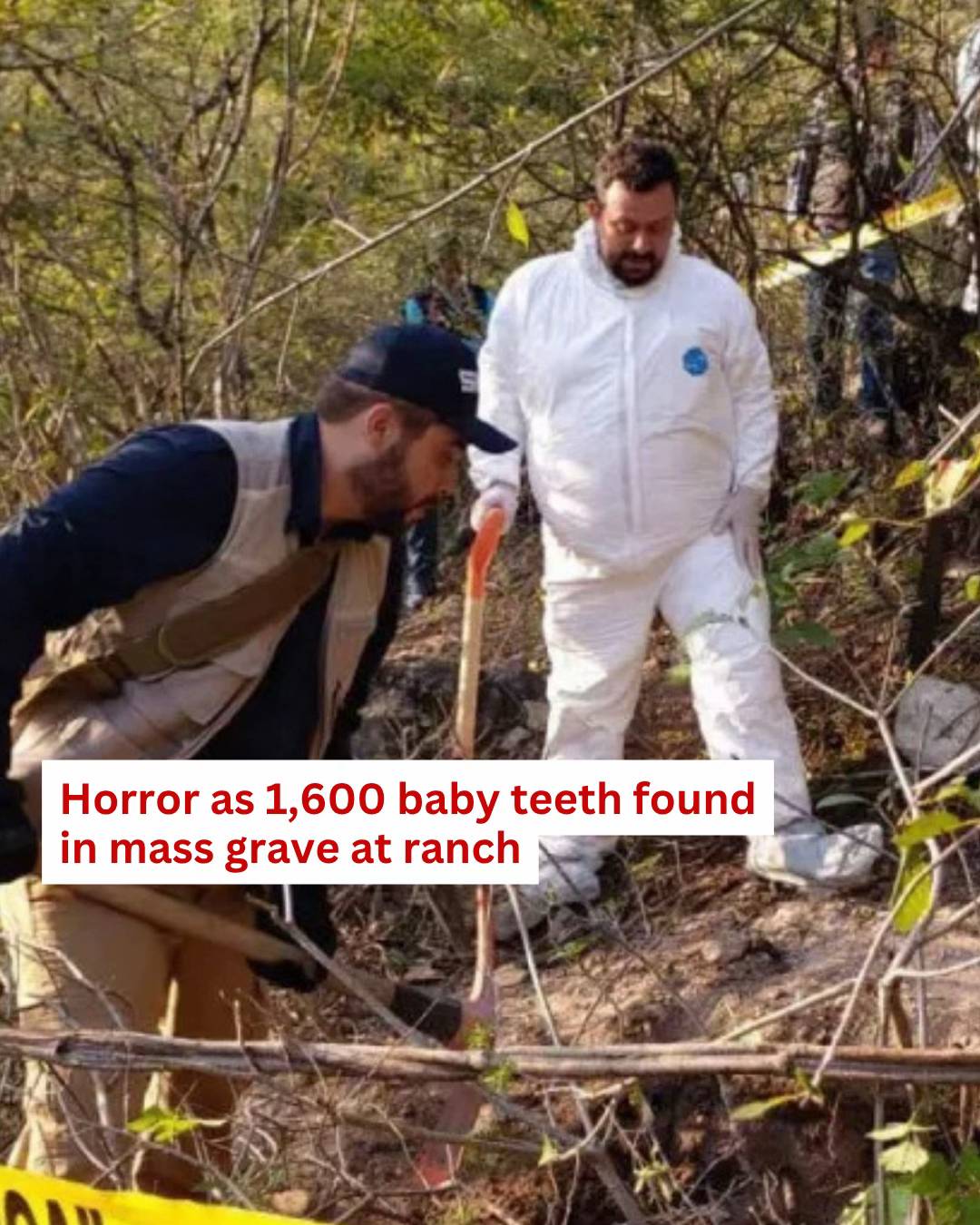 A staggering 1,600 baby teeth have been found in a mass grave at a ranch after s