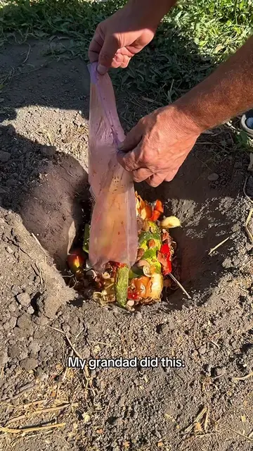My granddad did this, my dad did too — did your family bury kitchen scraps? #gar
