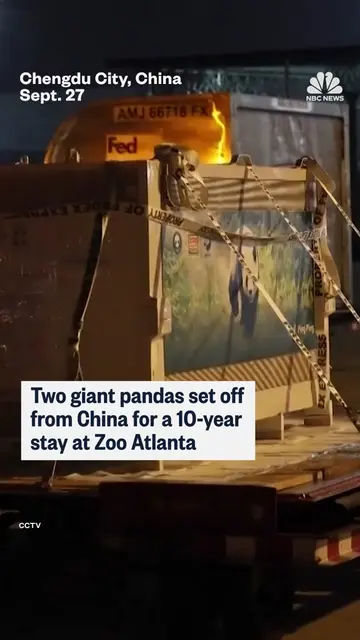 Giant pandas Ping Ping and Fu Shuang depart from China for their new home at Zoo