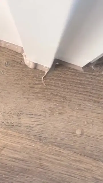 A crisp transition between engineered flooring and the baseboards is all about c