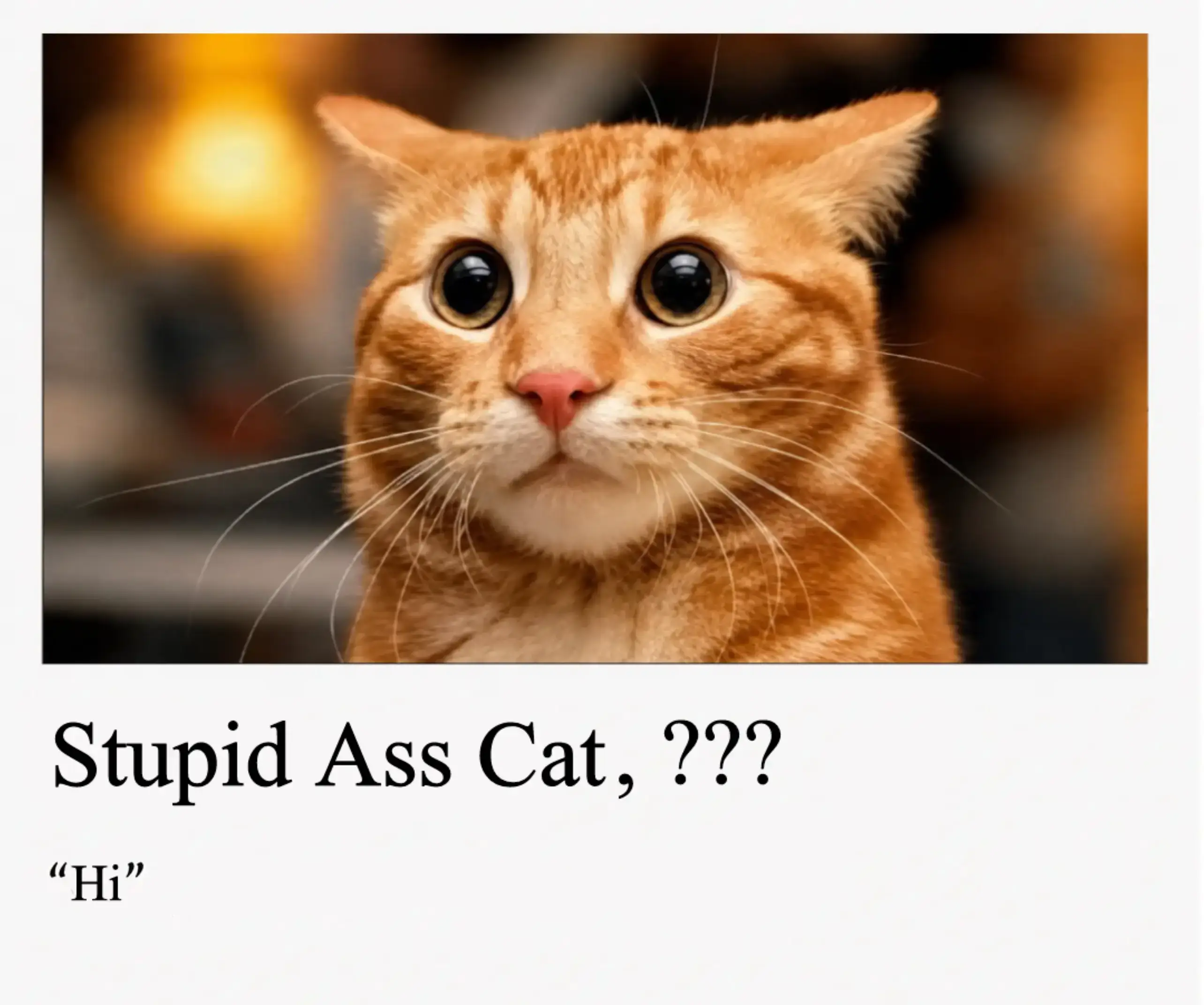 scientists reveal the hi hi hello how are you ding #hi #cat #meme #funny 