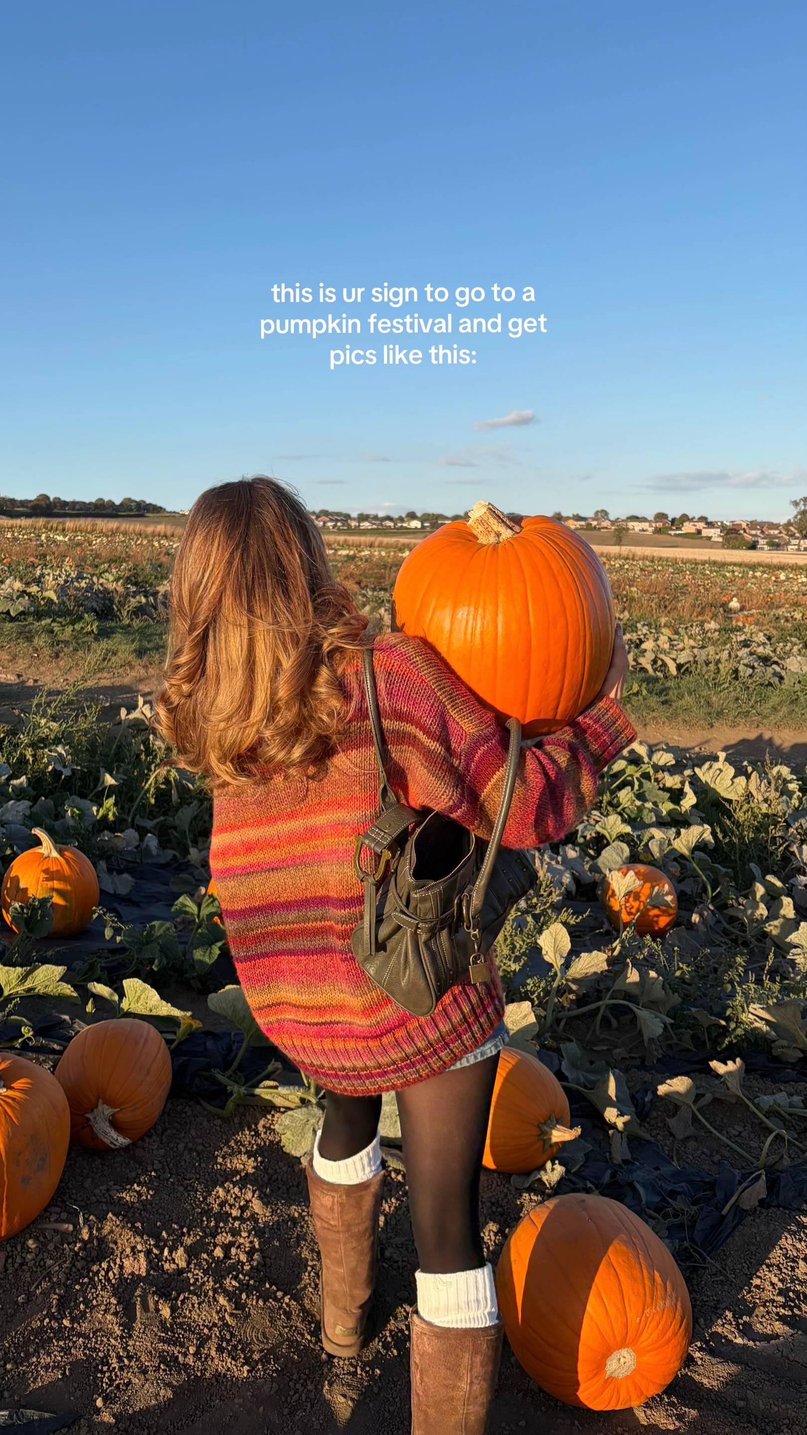 best day ever @Farmer Copleys  #pumpkin #autumn #inspo 