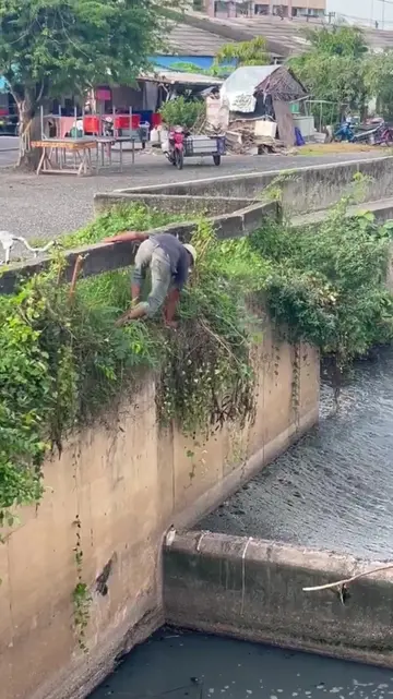 数百人可能从这条路上经过，但没人会想到，只需下到下面一分钟，就能清理这个大水坑。 他只是从马路边下到5-6英尺以下，走几步路，捡起挡路的竹子扔掉。 就这么点努力
